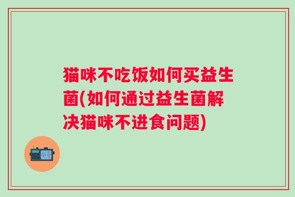 猫咪不吃饭如何买益生菌(如何通过益生菌解决猫咪不进食问题)