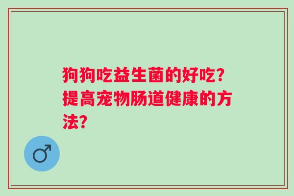 狗狗吃益生菌的好吃？提高宠物肠道健康的方法？