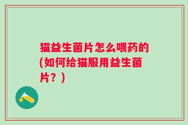 猫益生菌片怎么喂药的(如何给猫服用益生菌片？)