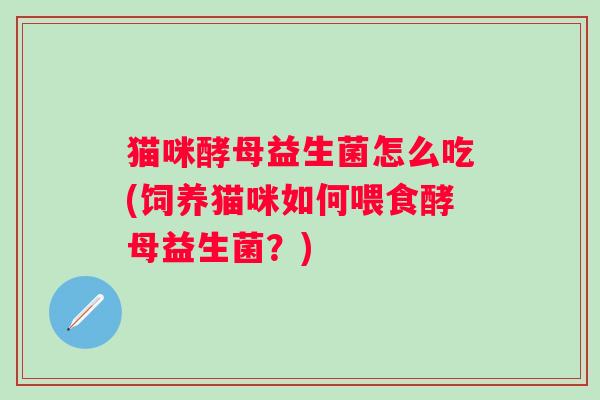 猫咪酵母益生菌怎么吃(饲养猫咪如何喂食酵母益生菌?) 猫咪酵母益生菌怎么吃(饲养猫咪如何喂食酵母益生菌?)
