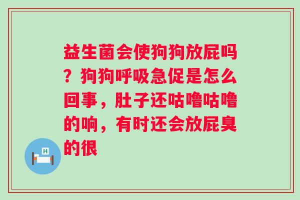 益生菌会使狗狗放屁吗？狗狗呼吸急促是怎么回事，肚子还咕噜咕噜的响，有时还会放屁臭的很
