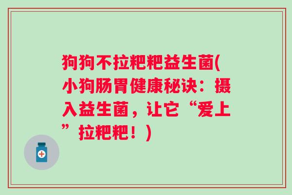 狗狗不拉粑粑益生菌(小狗肠胃健康秘诀:摄入益生菌,让它“爱上”拉粑粑!) 狗狗不拉粑粑益生菌(小狗肠胃健康秘诀:摄入益生菌,让它“爱上”拉粑粑!)