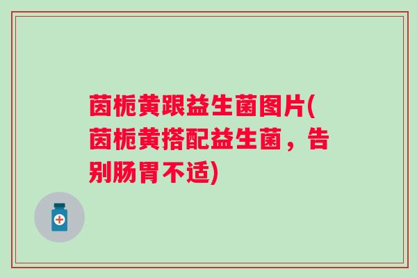 茵栀黄跟益生菌图片(茵栀黄搭配益生菌，告别肠胃不适)