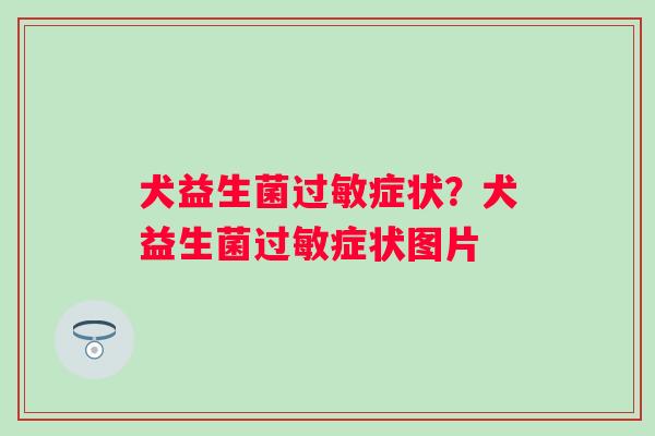 犬益生菌症状？犬益生菌症状图片
