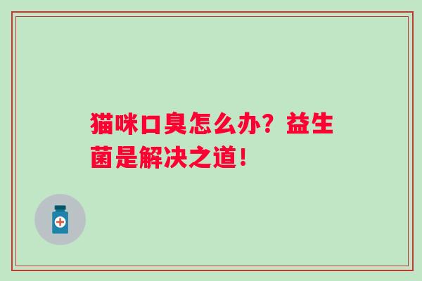 猫咪怎么办？益生菌是解决之道！