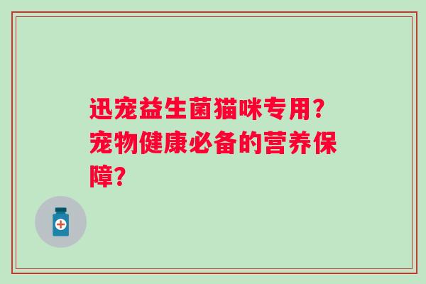 迅宠益生菌猫咪专用?宠物健康必备的营养保障? 迅宠益生菌猫咪专用?宠物健康必备的营养保障?