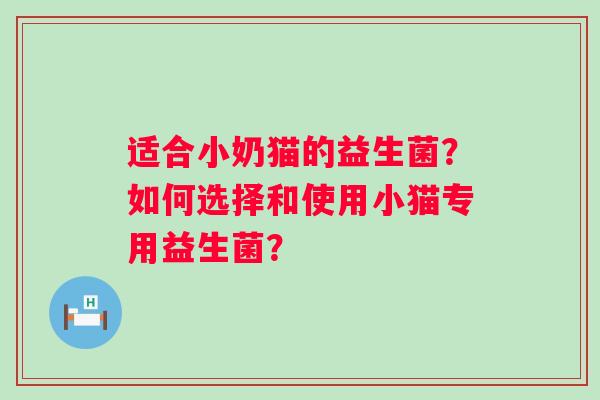 适合小奶猫的益生菌？如何选择和使用小猫专用益生菌？