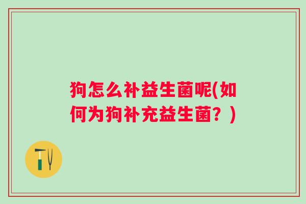 狗怎么补益生菌呢(如何为狗补充益生菌？)
