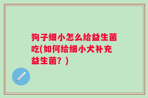 狗子细小怎么给益生菌吃(如何给细小犬补充益生菌?) 狗子细小怎么给益生菌吃(如何给细小犬补充益生菌?)