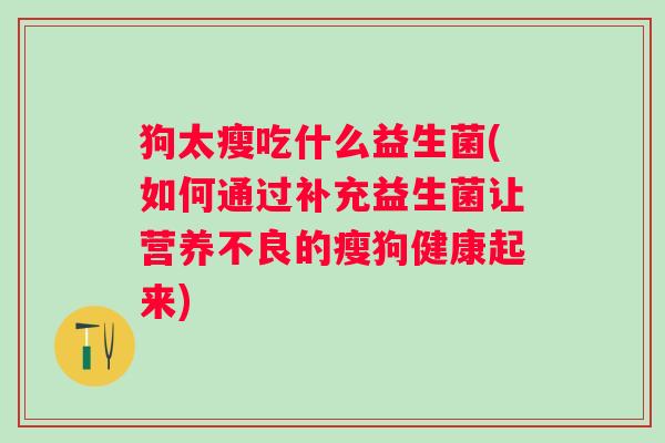 狗太瘦吃什么益生菌(如何通过补充益生菌让营养不良的瘦狗健康起来)