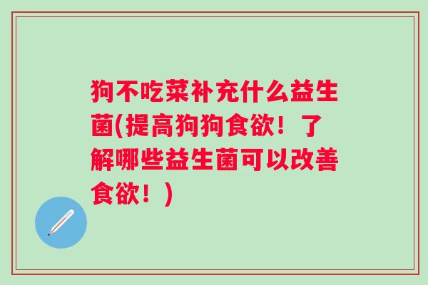 狗不吃菜补充什么益生菌(提高狗狗食欲！了解哪些益生菌可以改善食欲！)