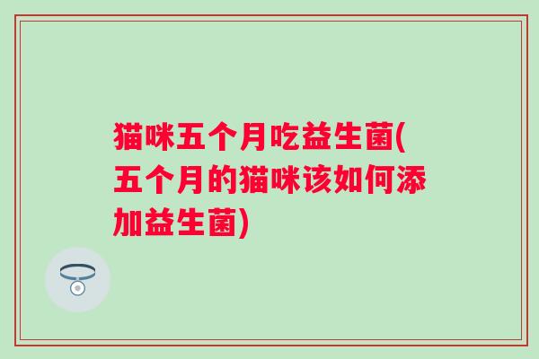 猫咪五个月吃益生菌(五个月的猫咪该如何添加益生菌) 猫咪五个月吃益生菌(五个月的猫咪该如何添加益生菌)