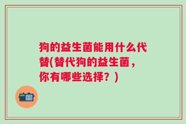 狗的益生菌能用什么代替(替代狗的益生菌，你有哪些选择？)