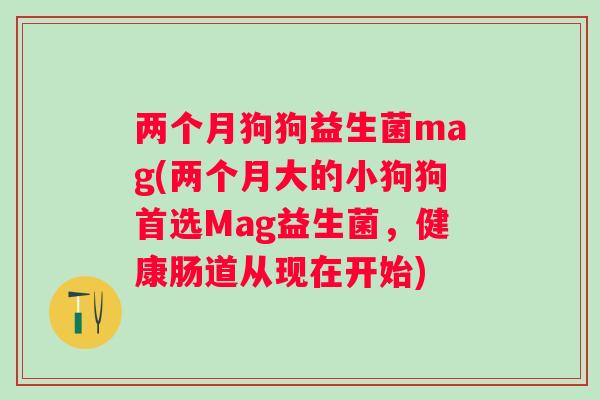 两个月狗狗益生菌mag(两个月大的小狗狗首选Mag益生菌,健康肠道从现在开始) 两个月狗狗益生菌mag(两个月大的小狗狗首选Mag益生菌,健康肠道从现在开始)