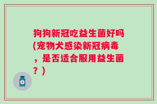 狗狗新冠吃益生菌好吗(宠物犬新冠,是否适合服用益生菌?) 狗狗新冠吃益生菌好吗(宠物犬新冠,是否适合服用益生菌?)