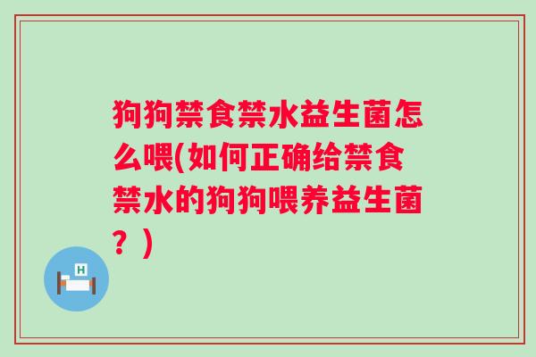 狗狗禁食禁水益生菌怎么喂(如何正确给禁食禁水的狗狗喂养益生菌？)
