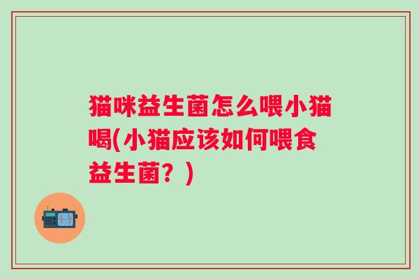 猫咪益生菌怎么喂小猫喝(小猫应该如何喂食益生菌？)