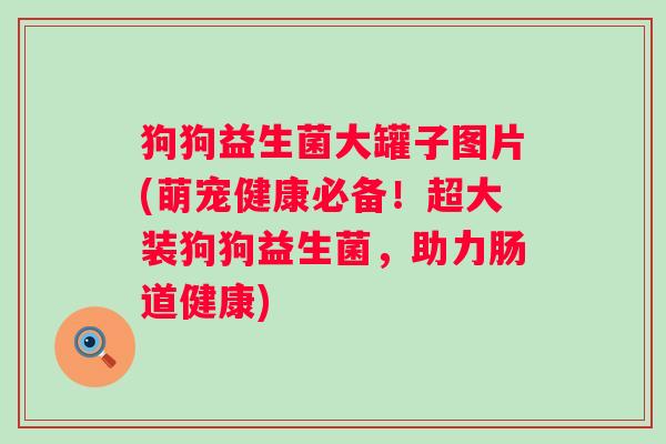 狗狗益生菌大罐子图片(萌宠健康必备！超大装狗狗益生菌，助力肠道健康)