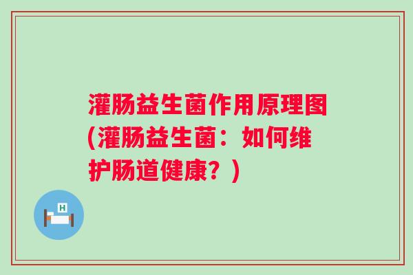 灌肠益生菌作用原理图(灌肠益生菌：如何维护肠道健康？)