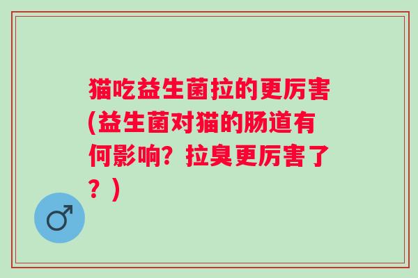 猫吃益生菌拉的更厉害(益生菌对猫的肠道有何影响？拉臭更厉害了？)