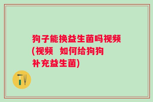 狗子能换益生菌吗视频(视频  如何给狗狗补充益生菌)
