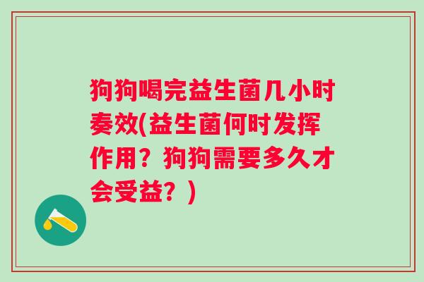 狗狗喝完益生菌几小时奏效(益生菌何时发挥作用？狗狗需要多久才会受益？)