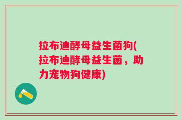 拉布迪酵母益生菌狗(拉布迪酵母益生菌，助力宠物狗健康)