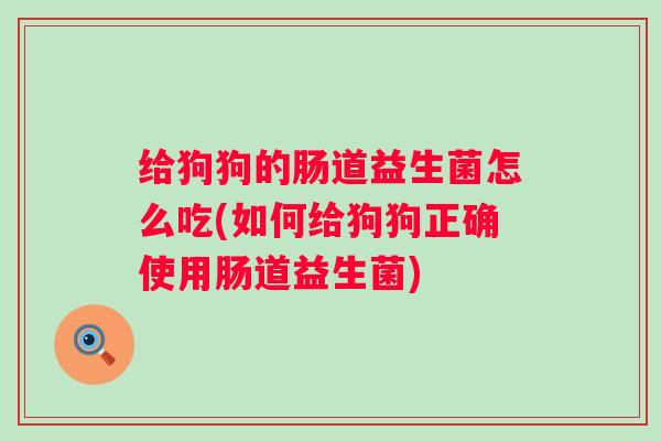 给狗狗的肠道益生菌怎么吃(如何给狗狗正确使用肠道益生菌)