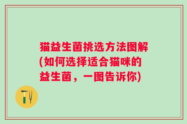 猫益生菌挑选方法图解(如何选择适合猫咪的益生菌，一图告诉你)