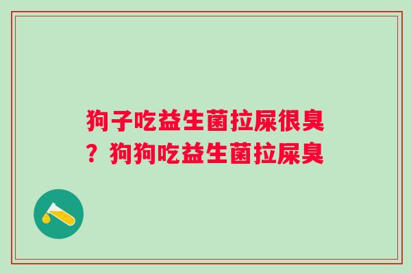 狗子吃益生菌拉屎很臭？狗狗吃益生菌拉屎臭