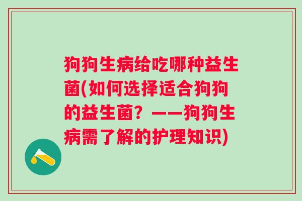 狗狗生给吃哪种益生菌(如何选择适合狗狗的益生菌？——狗狗生需了解的护理知识)