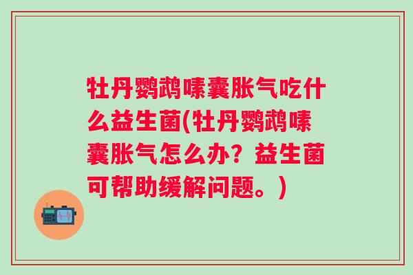 牡丹鹦鹉嗉囊胀气吃什么益生菌(牡丹鹦鹉嗉囊胀气怎么办？益生菌可帮助缓解问题。)