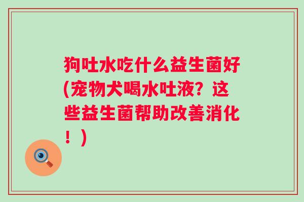 狗吐水吃什么益生菌好(宠物犬喝水吐液？这些益生菌帮助改善消化！)