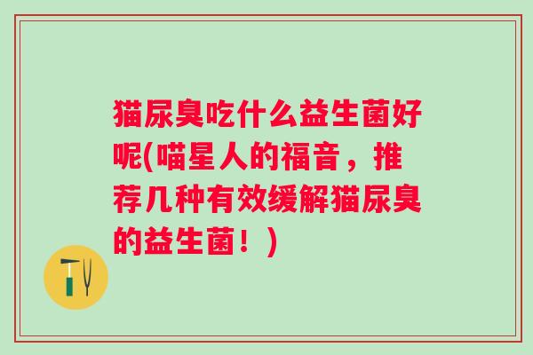 猫尿臭吃什么益生菌好呢(喵星人的福音，推荐几种有效缓解猫尿臭的益生菌！)