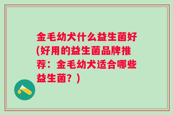 金毛幼犬什么益生菌好(好用的益生菌品牌推荐：金毛幼犬适合哪些益生菌？)