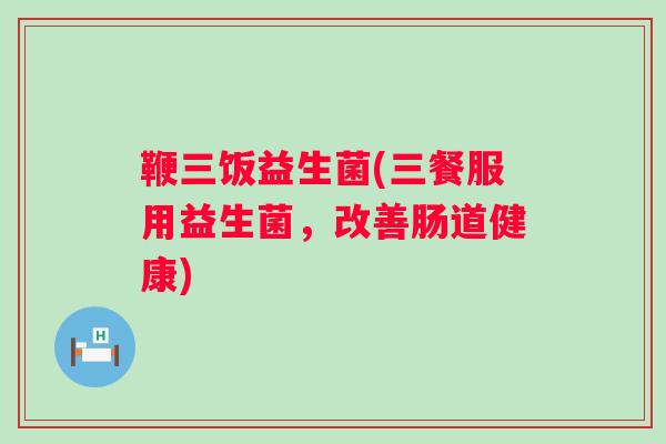 鞭三饭益生菌(三餐服用益生菌，改善肠道健康)