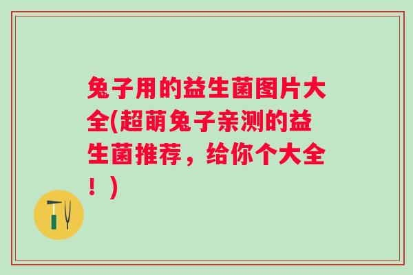 兔子用的益生菌图片大全(超萌兔子亲测的益生菌推荐，给你个大全！)