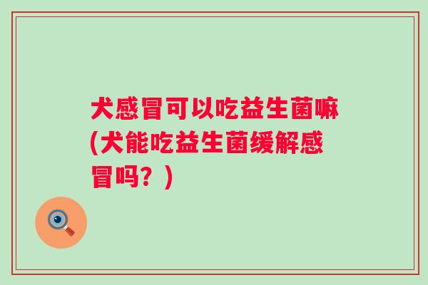 犬可以吃益生菌嘛(犬能吃益生菌缓解吗?) 犬可以吃益生菌嘛(犬能吃益生菌缓解吗?)