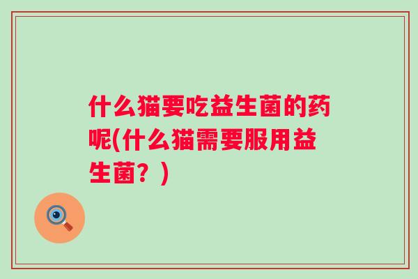 什么猫要吃益生菌的药呢(什么猫需要服用益生菌？)