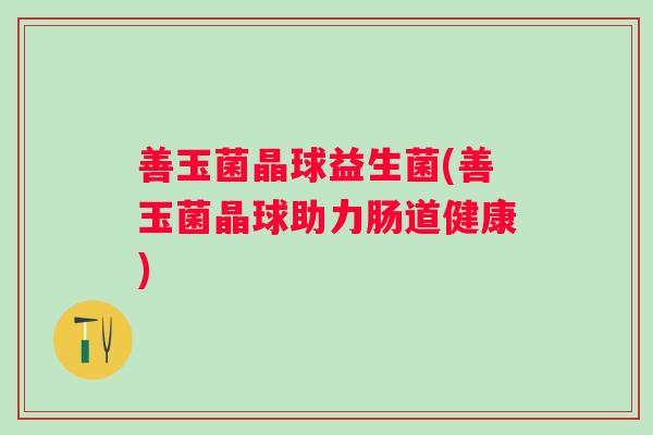善玉菌晶球益生菌(善玉菌晶球助力肠道健康)