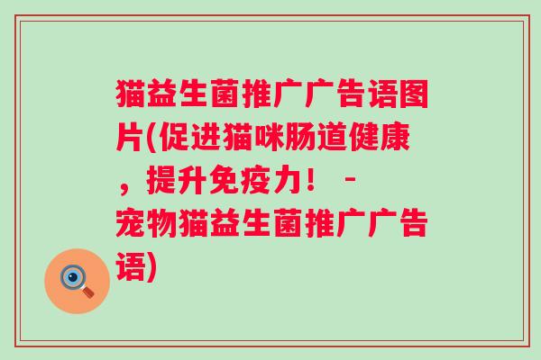 猫益生菌推广广告语图片(促进猫咪肠道健康，提升免疫力！ - 宠物猫益生菌推广广告语)