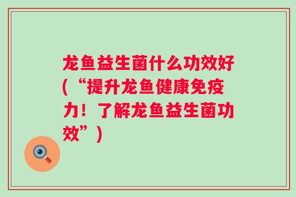 龙鱼益生菌什么功效好(“提升龙鱼健康免疫力！了解龙鱼益生菌功效”)