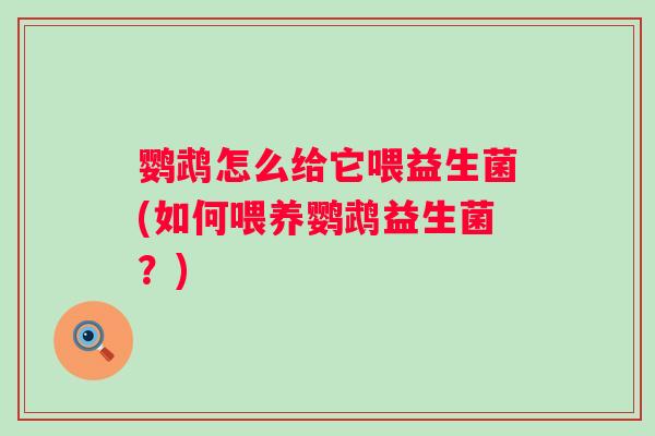 鹦鹉怎么给它喂益生菌(如何喂养鹦鹉益生菌？)