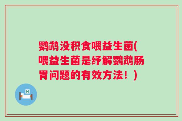 鹦鹉没积食喂益生菌(喂益生菌是纾解鹦鹉肠胃问题的有效方法！)