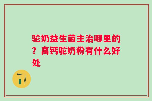 驼奶益生菌主哪里的？高钙驼奶粉有什么好处