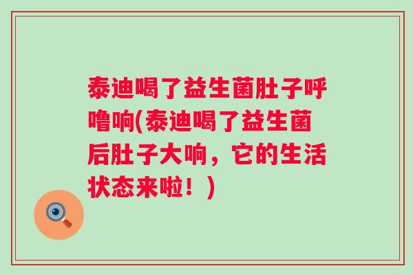 泰迪喝了益生菌肚子呼噜响(泰迪喝了益生菌后肚子大响，它的生活状态来啦！)
