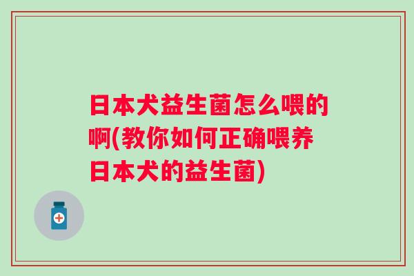 日本犬益生菌怎么喂的啊(教你如何正确喂养日本犬的益生菌)