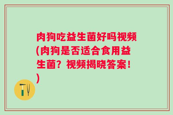 肉狗吃益生菌好吗视频(肉狗是否适合食用益生菌？视频揭晓答案！)