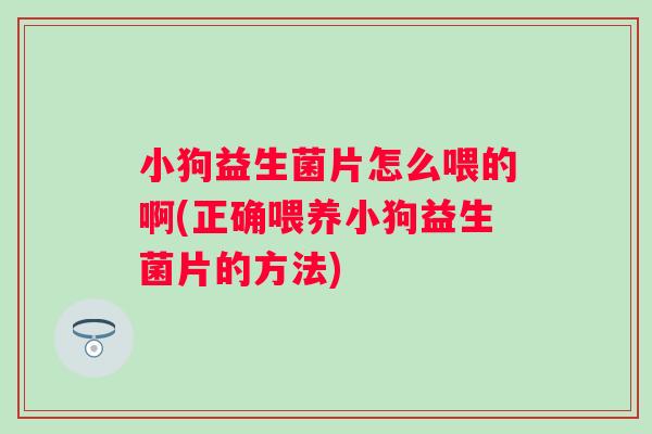 小狗益生菌片怎么喂的啊(正确喂养小狗益生菌片的方法)