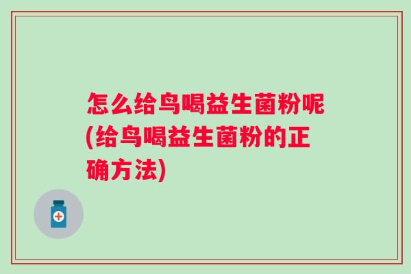 怎么给鸟喝益生菌粉呢(给鸟喝益生菌粉的正确方法)